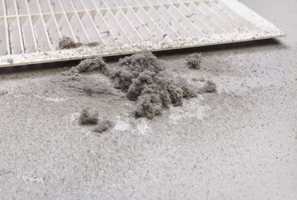 Best Best Air Duct Cleaning Near Me  in Raytown, MO