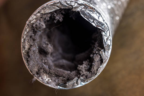 Best Local Air Duct Cleaning Services  in Raytown, MO